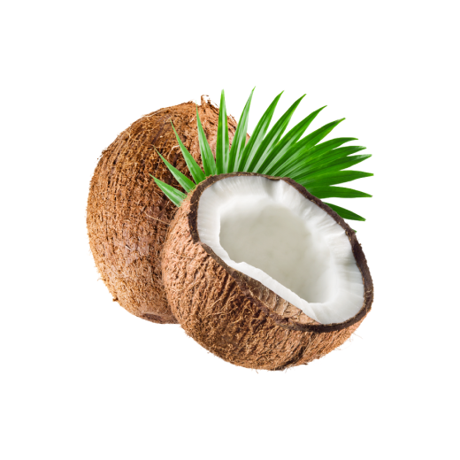 Narikel (Coconut)