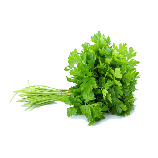 Coriander Leaves (Dhonia Pata) ± 10 gm